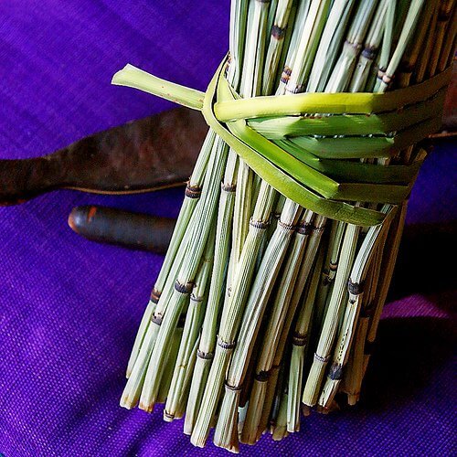 bambu