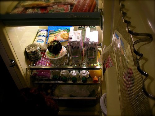 Huskurer som bekämpar dålig lukt i kylskåpet