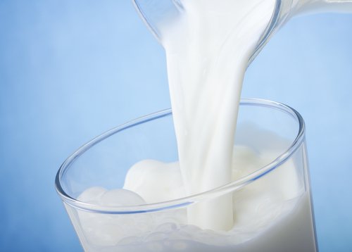 mjölk