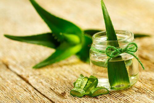 aloe vera-blad och vitamin C