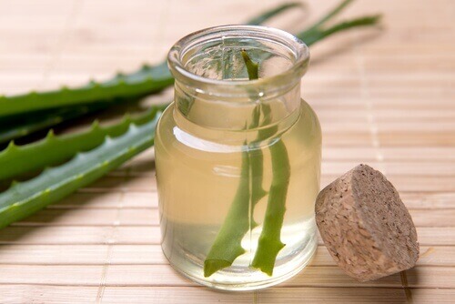 aloe vera-gelé