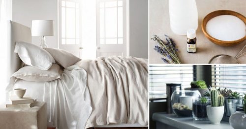 8 knep för att desinfektera sovrummet på ett naturligt sätt