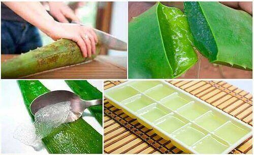 Det bästa sättet att förvara aloe vera-gel
