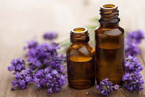 Lavendel i oljeform