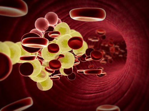 röda blodceller