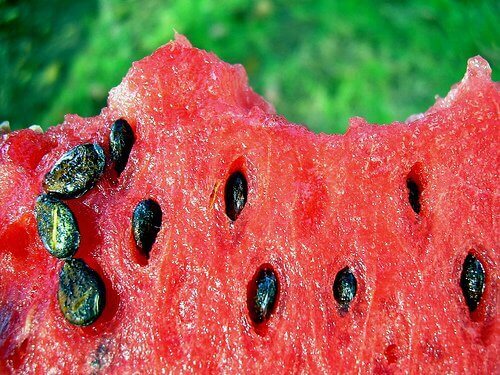 vattenmelonfrön innehåller antioxidanter