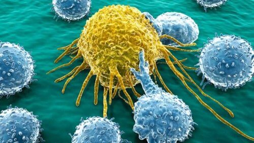 Cancercell