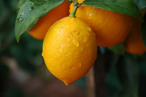 citron