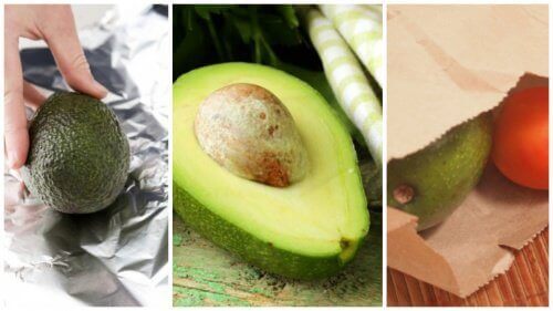5 trick för att mogna avokado snabbt