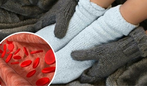 Kurer för cirkulation och inflammation Kurer för cirkulation och inflammation