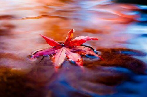 "Flow": Ett fantastiskt sätt att bekämpa stress