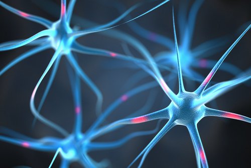 neuronkopplingar