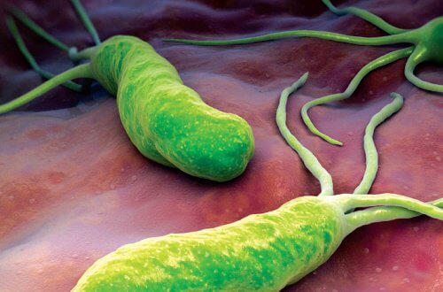Bekämpa bakterien som orsakar diarré & uppsvälldhet