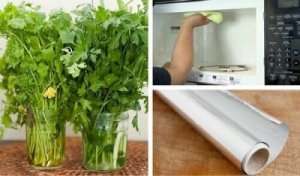 17 tips för att organisera garderoben och spara utrymme 17 tips för att organisera garderoben och spara utrymme
