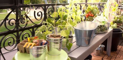 Trädgård på altanen