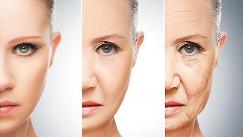 Förändringar i dina matvanor vid 30, 40, 50 & 60