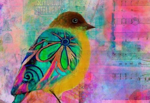 färgglad fågel och notblad