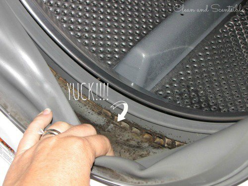 mögel i tvättmaskin