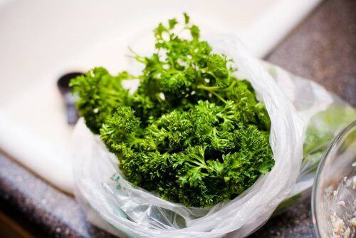 persilja-for-njurarna