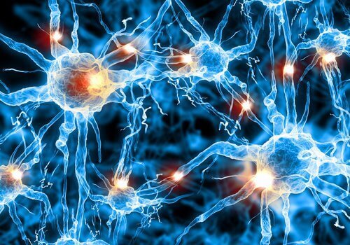 Forskare hittar ny behandling för Alzheimers