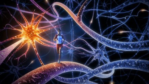 De 8 bästa övningarna för att stärka hjärnan