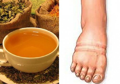 De 4 bästa växterna för att motverka vätskeretention