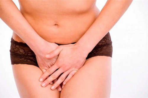 8 livsmedel för en god vaginal hälsa