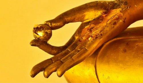 5 tibetanska ställningar för att känna dig yngre