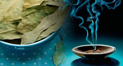 Bekämpa ångest med en uråldrig kur på lagerblad