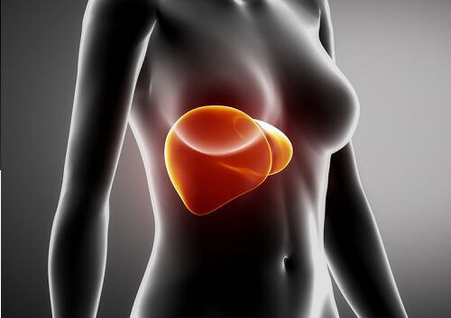 7 utmärkta sätt att ta hand om levern vid frukosten