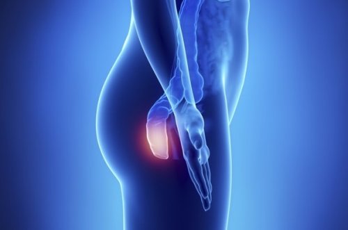 Analcancer - 5 symptom du bör känna till