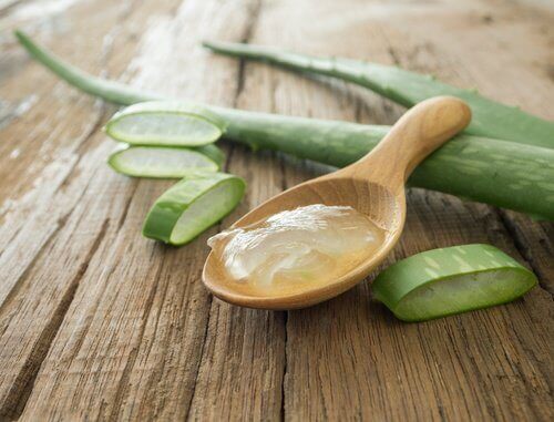 Aloe vera är lindrande