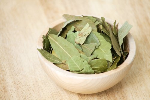 Lagerblad i skål