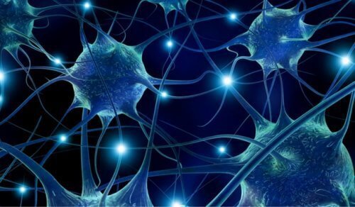 7 livsmedel som främjar mental hälsa