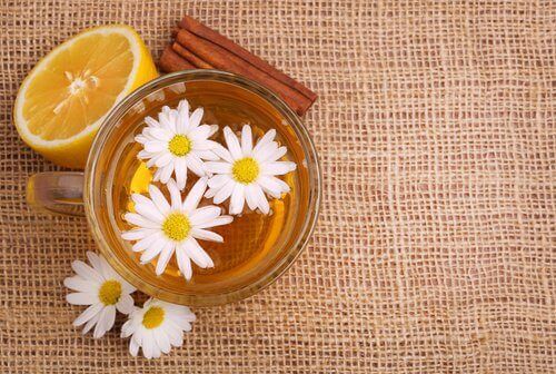 Örter kan lindra hemorrojder