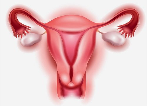 8 naturliga kurer mot äggstockscancer 8 naturliga kurer mot äggstockscancer