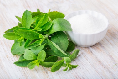 Odla din egen stevia och gör ditt eget sötningsmedel