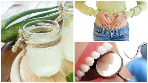 aloe vera har många egenskaper