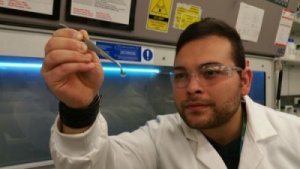 Dessa artificiella hornhinnor kan ge syn åt miljontals