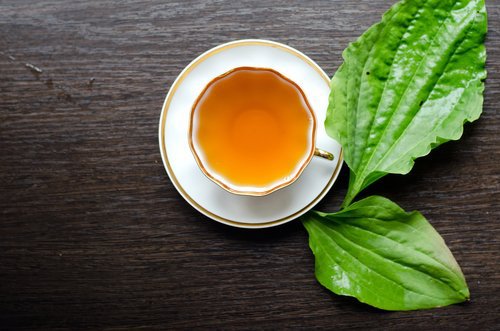 Prova laxerande örter mot förstoppning