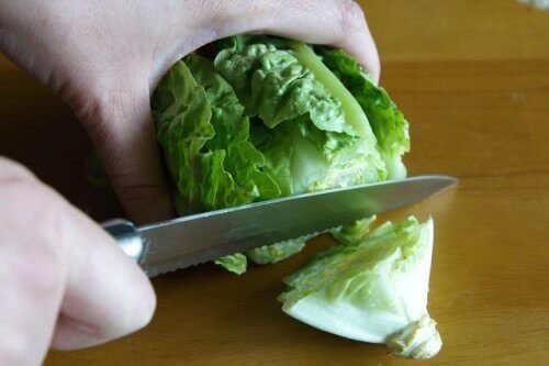 romaine sallad