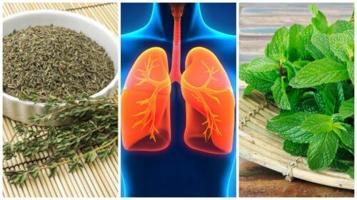 8 örter du kan använda för att förbättra din lunghälsa