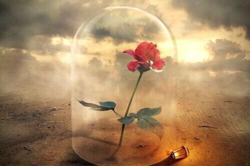 Lidande gör dig starkare om det hanteras rätt