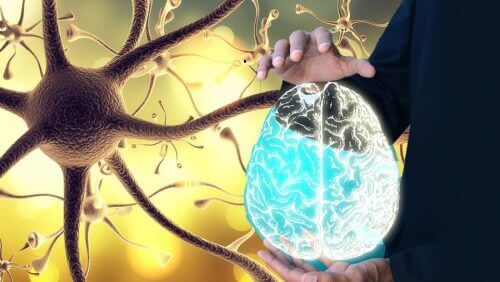 Hur du "väcker" vagusnerven för bättre hälsa