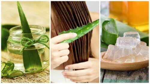 5 aloe vera-behandlingar för att stärka ditt hår