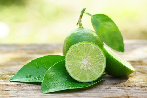 Lime med blad