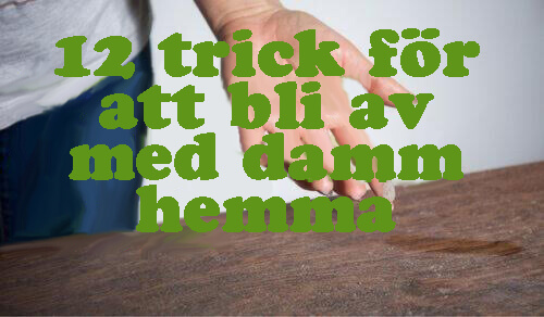 12 trick för att bli av med damm hemma