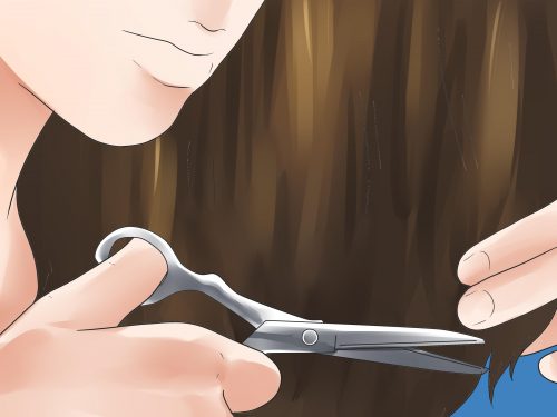 5 vanliga myter om människokroppen