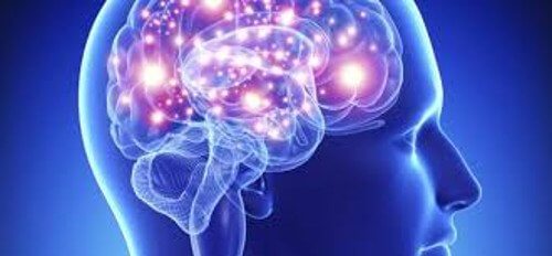 Hjärna med upplyst nervsystem