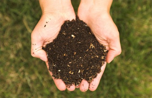 Jord i händerna